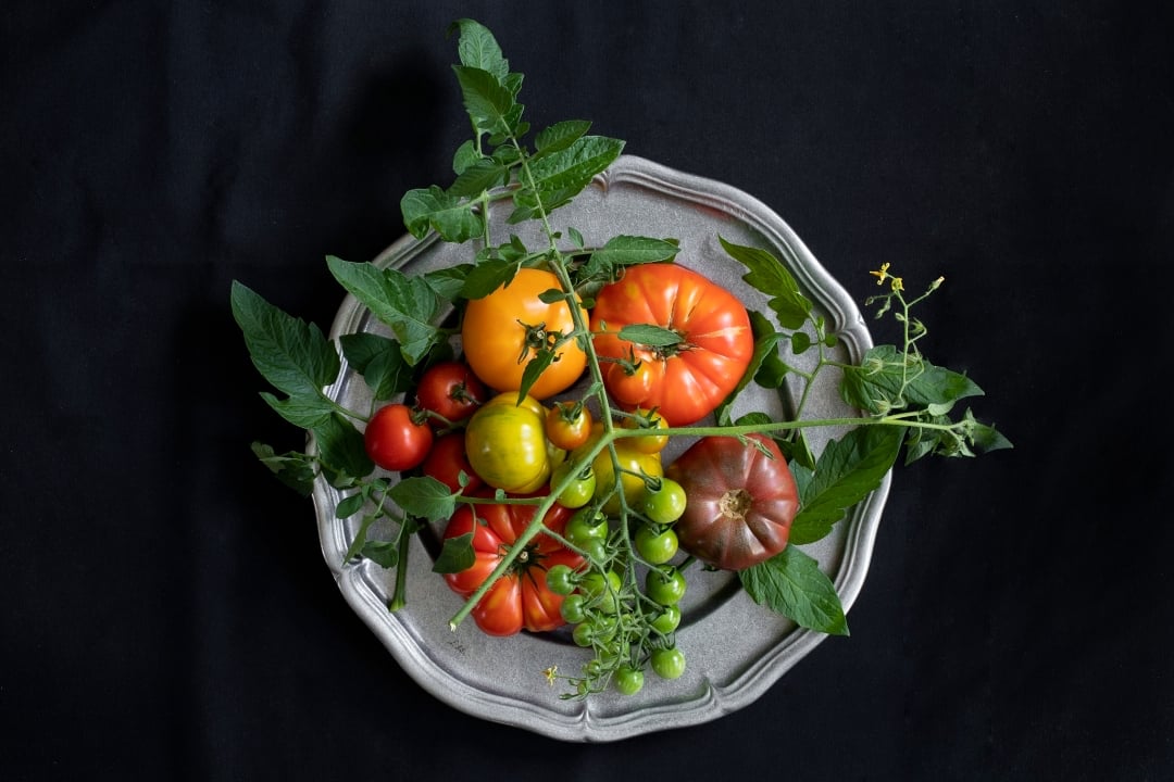 Tomato-plate-2
